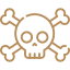 skull